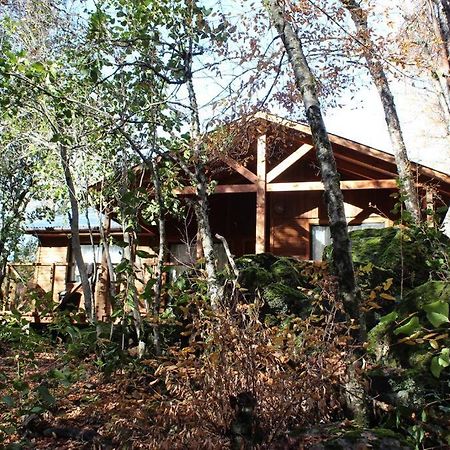 Vila Cabana Bosque Viejo Las Trancas Exteriér fotografie