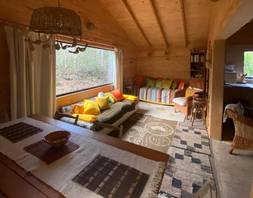 Vila Cabana Bosque Viejo Las Trancas Exteriér fotografie