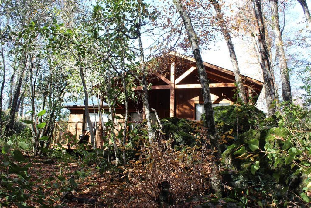 Vila Cabana Bosque Viejo Las Trancas Exteriér fotografie
